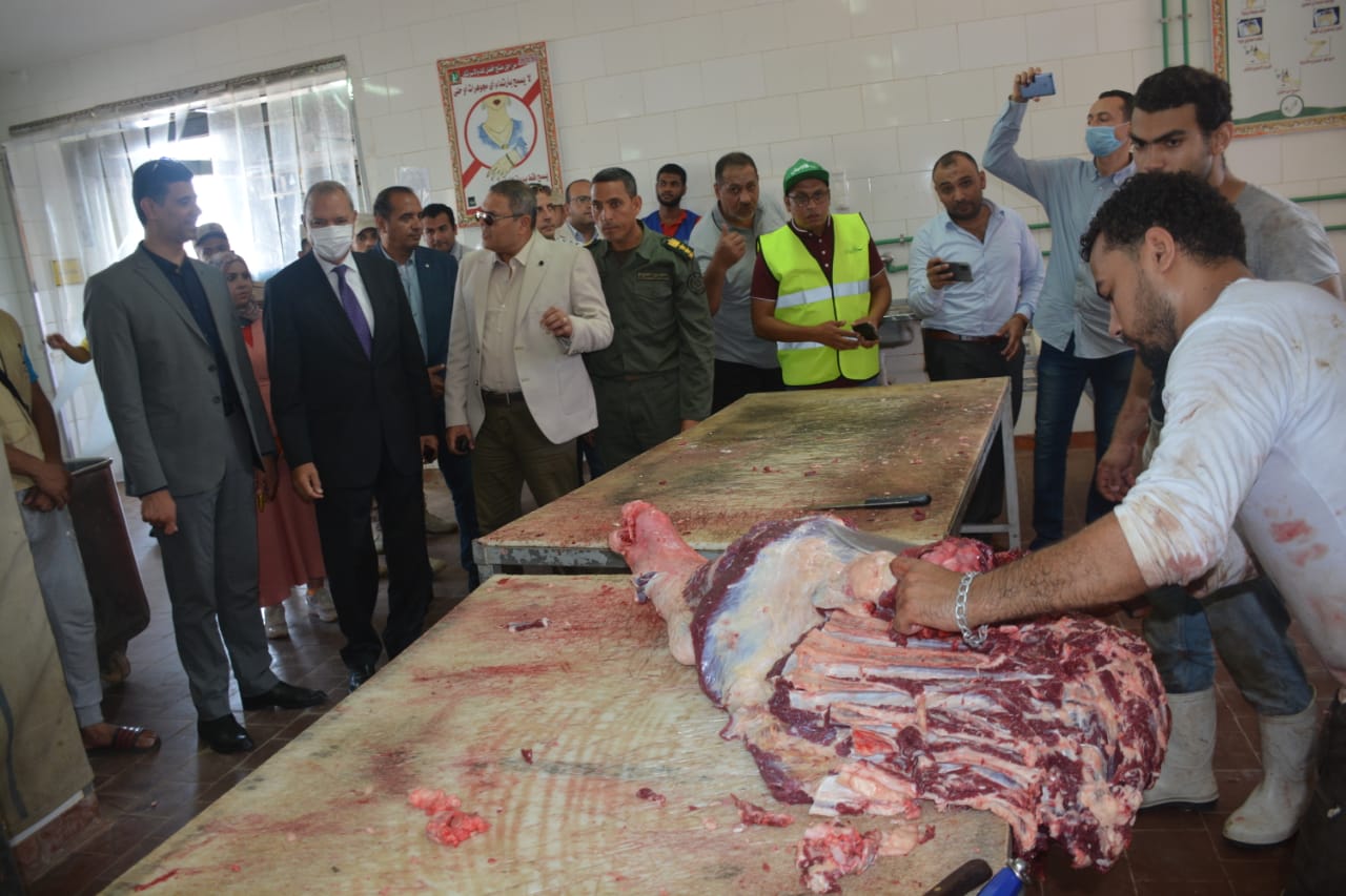 الهجان يتفقد عدداً من مجاز القليوبية وإستقبال الأضاحي في أول أيام العيد 