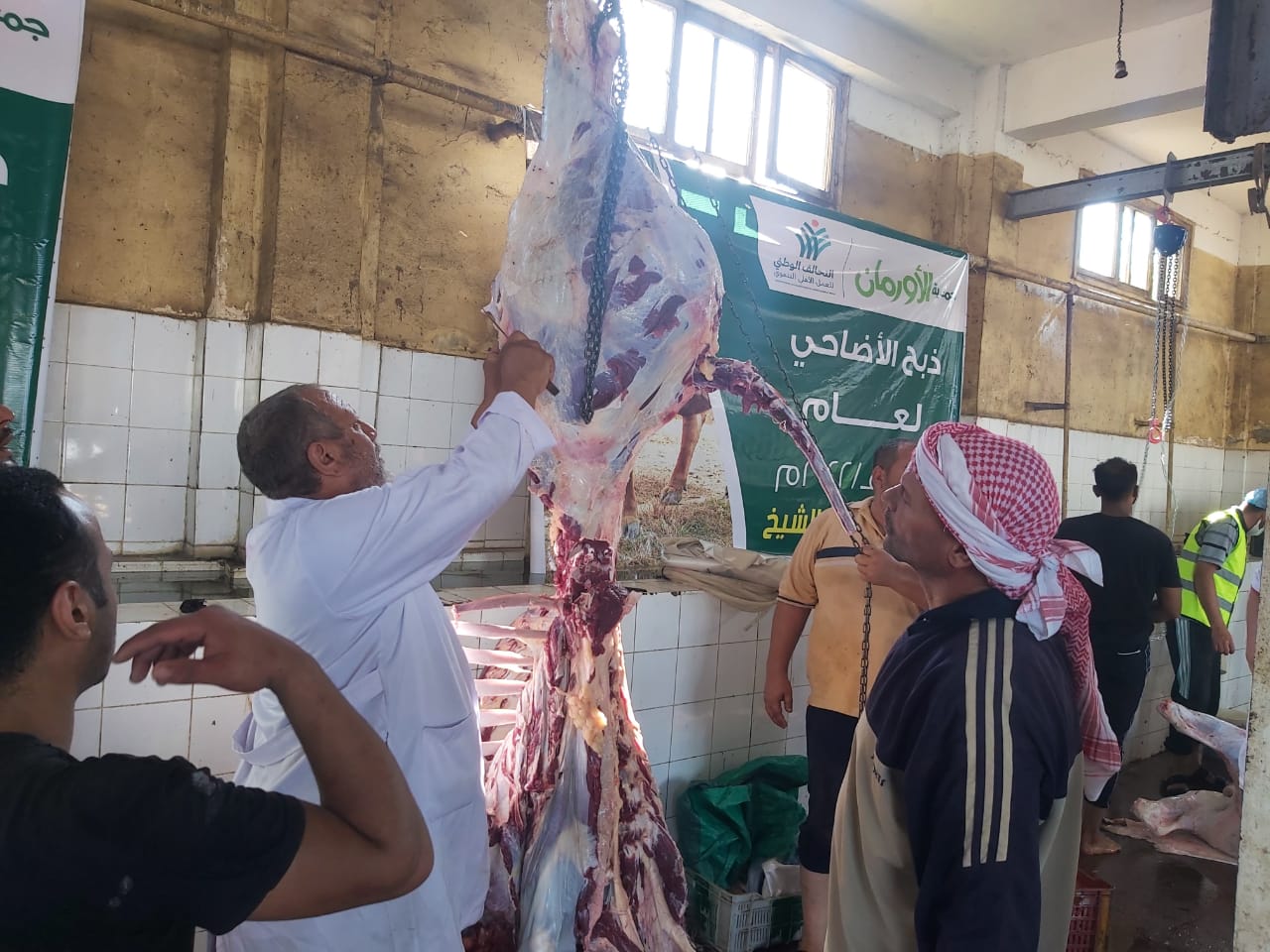 الاورمان : ذبح وتوزيع  ٢١٠ اضحيه على اهالي كفر الشيخ 