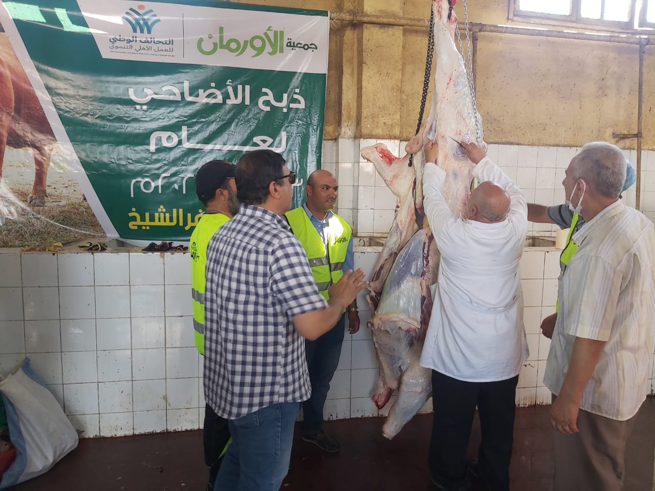 الاورمان : ذبح وتوزيع  ٢١٠ اضحيه على اهالي كفر الشيخ 