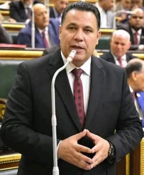 النائب عماد الغنيمي - عضو مجلس النواب
