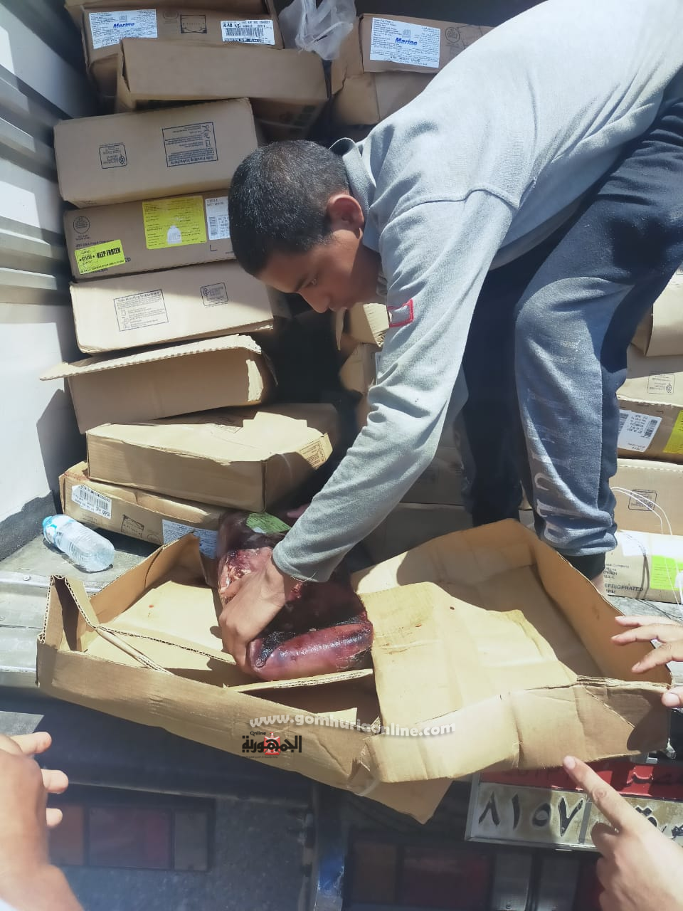 حملة مشتركة بين صحة أسيوط والتموين والطب البيطري تسفر عن ضبط ٣٢٠٠ كيلو أطعمة فاسدة