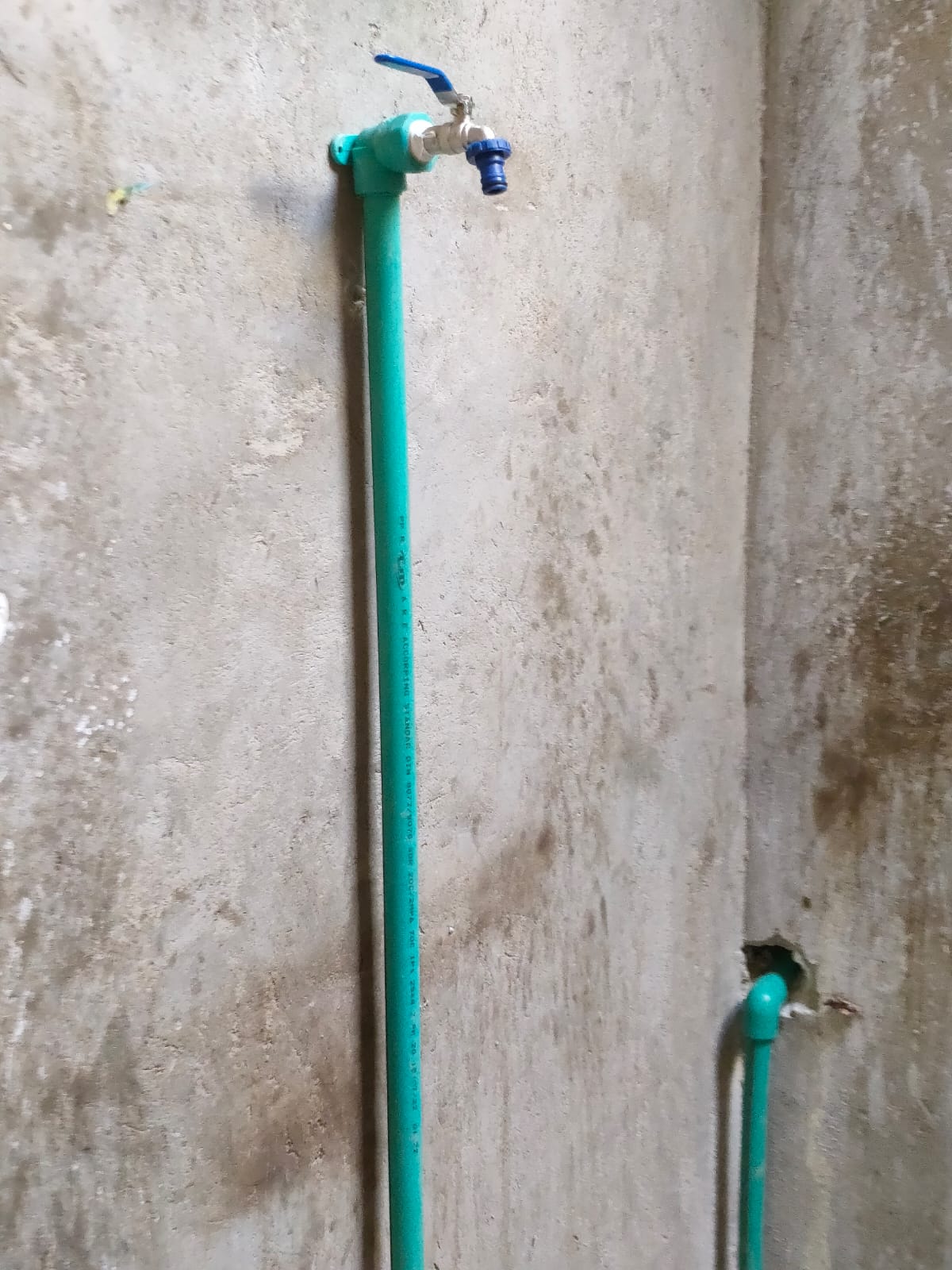  ١٠٠٠ وصلة مياه من الأورمان لمنازل الأسر المستحقة ببنى سويف..صور