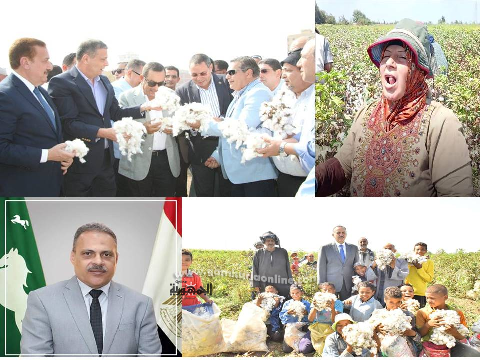 الذهب الابيض يلمع بريقه في المحافظات