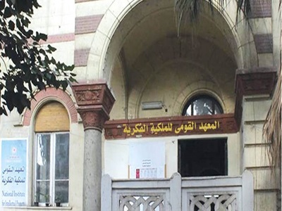 المعهد القومي للملكية الفكرية بجامعة حلوان