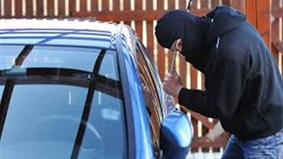 الأشقاء الثلاثة كونوا تسكيلا عصابيا بالدقهلية