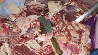 ضبط ١٠٠ كيلو من اللحوم البلدى الغير صالحة للاستهلاك الادمى..صور