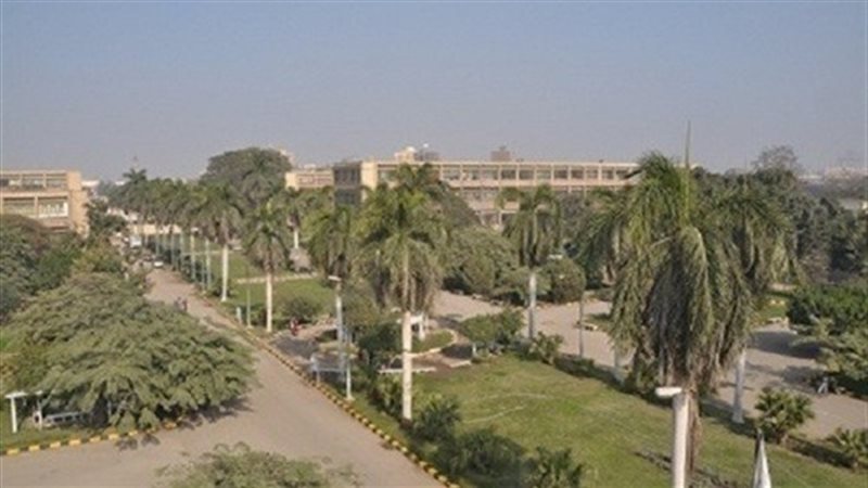 زراعة عين شمس