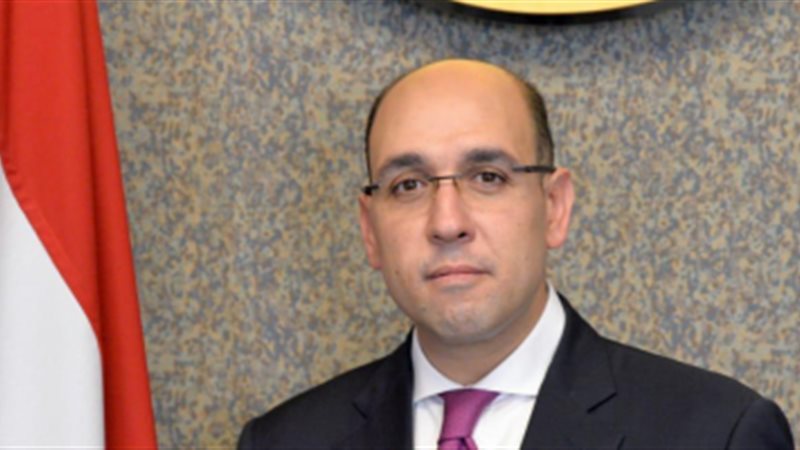 المستشار أحمد حافظ