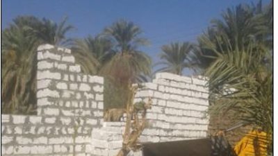 إزالة التعديات على الأراضى بقرية الشغب بإسنا