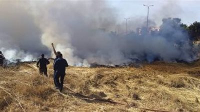 السيطرة على حريق بالجبانة الفاطمية الأثرية في أسوان .. صور