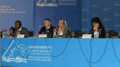 الجلسة العامة لمؤتمر الأطراف الرابع عشر ترفع شعار 