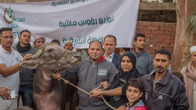 صناع الخير توزع رؤوس ماشية لغير القادرين بقرى أبوكبير