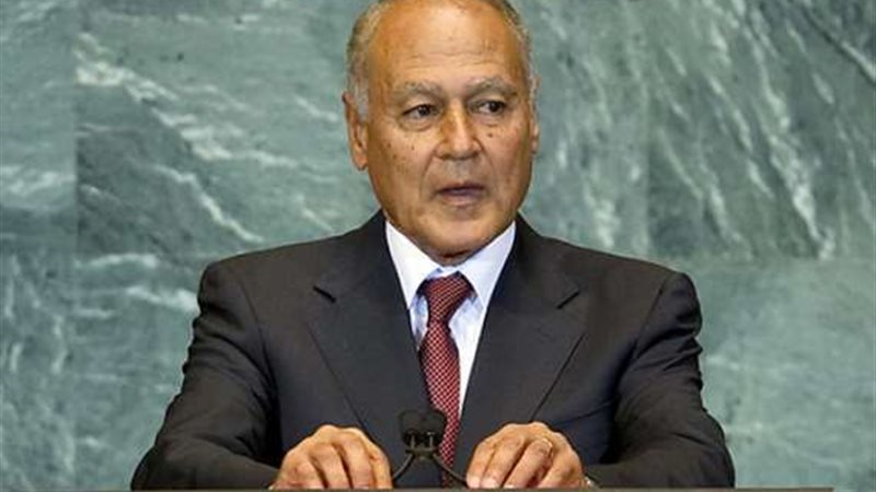 أحمد أبو الغيط، الأمين