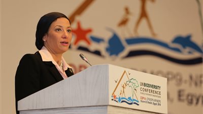 وزيرة البيئة تستعرض سبل حماية الدلافين بمصر