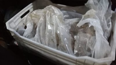 ضبط 2.5 طن سمك فاسد فى سلسلة مطاعم شهيرة بمدينة نصر