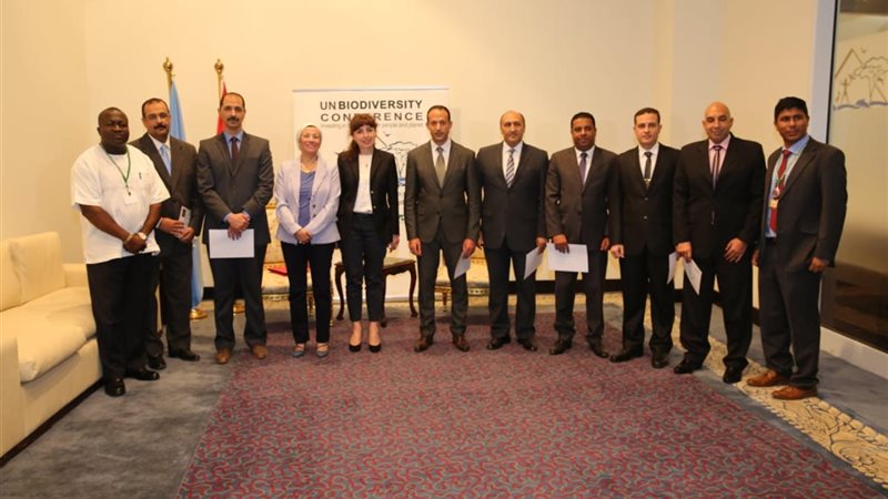 الامم المتحدة