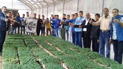 تحويل الصوبات الزراعية الى شتلات الخضر لاول مرة فى الصعيد