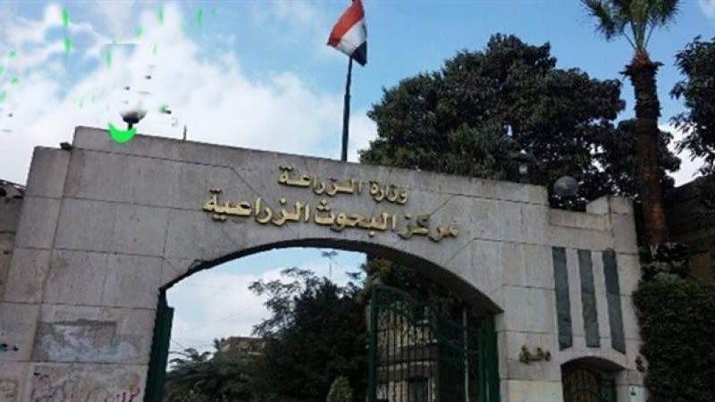 مركز البحوث