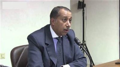 خبير مالي: صندوق ضمان مخاطر الاستثمار أهم مكاسب «منتدى إفريقيا»