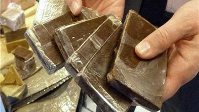 القبض على عاطلين بـ 10 طرب حشيش بالمنصورة