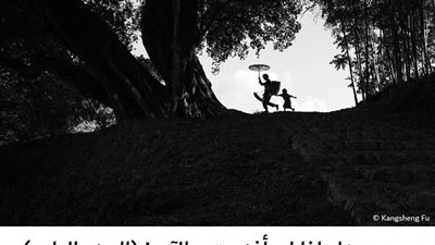 لماذا لم أفز حتى الآن ! (الجزء الرابع)