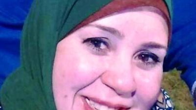 مصر والنمسا افاق جديدة للتعاون