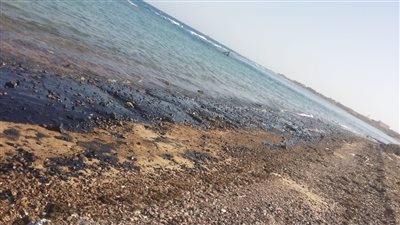لجنة عاجلة من البيئة لبحث تلوث زيتي برأس غارب