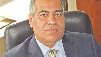خبير: حجم السوق أكبر ركيزة تقدمت بها مصر في تقرير التنافسية العالمية