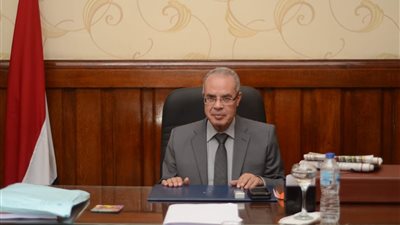 استئناف القاهرة : انشاء مكتب فني للتعاون الدولي والعلاقات العامة وحقوق الإنسان