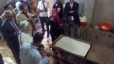 محافظ الشرقية يقرر اعداد ملف عاجل لصناعة البردى