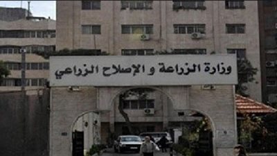 وزارة الزراعة: ارتفاع الصادرات الزراعية لـ أكثر من 4 مليون طن والبطاطس تحتل المركز الثاني