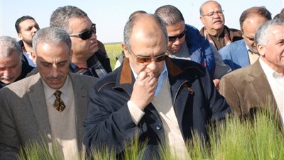 الزراعة: نجاح تجربة ترشيد استخدام المياه بمشروع غرب المنيا