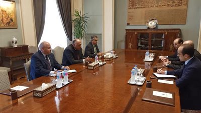 وزير الخارجية يؤكد على أهمية توفير الرعاية اللازمة للمواطنين المصريين في الخارج