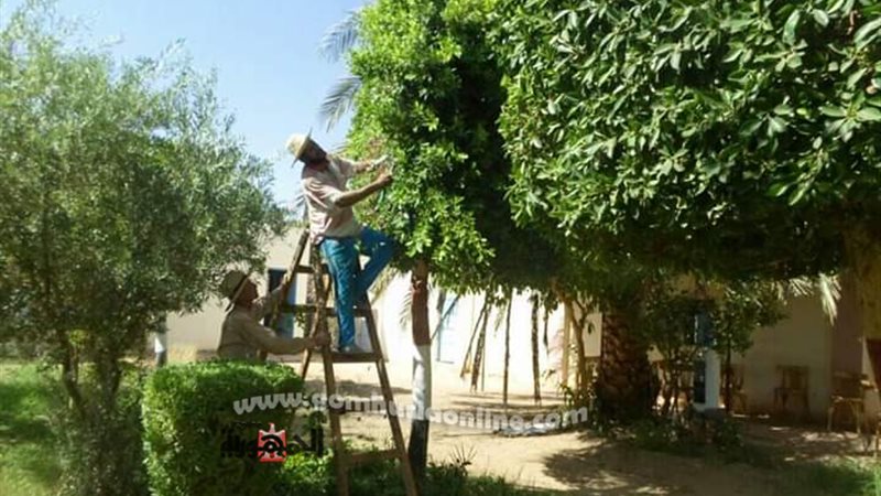 بوابة الجمهورية