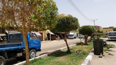 حملة لتهذيب الحدائق والجزر الوسطى بالطرق بمركز الطود جنوب الأقصر