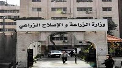 الزراعة: تحصين أكثر من 2 مليون رأس ماشية ضد مرض الحمي القلاعية حتى الان