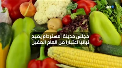 شاهد.. بدءَا من العام المقبل.. مجلس أمستردام 