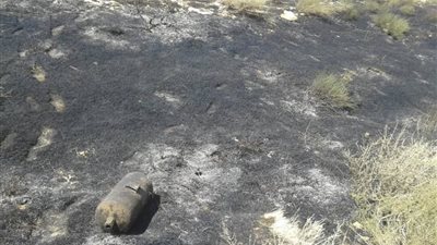 هجوم يستهدف قطار شحن الفوسفات بريف حمص الشرقي..صور