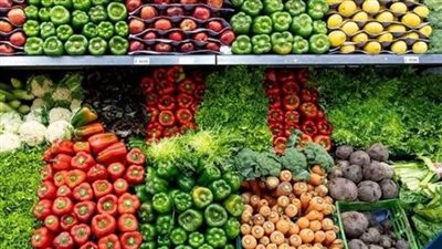 الصادرات الغذائية تحقق 4.3 مليار دولار خلال 10 أشهر من 2023