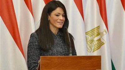 المشاط: «حافز» تسد الفجوة المعلوماتية وتذلل العديد من التحديات