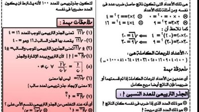 مراجعة الجبر والإحصاء ورقة للصف الثانى الاعدادي