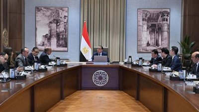 مدبولي يبحث مع شركتين صينيتين فرص الاستثمار في مجال الخلايا الشمسية
