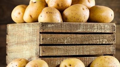 7 خطوات لتخزين البطاطس فترة من الزمن دون ان تتلف