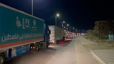 إدخال 151 شاحنة مساعدات إلى قطاع غزة عبر ميناء رفح البري