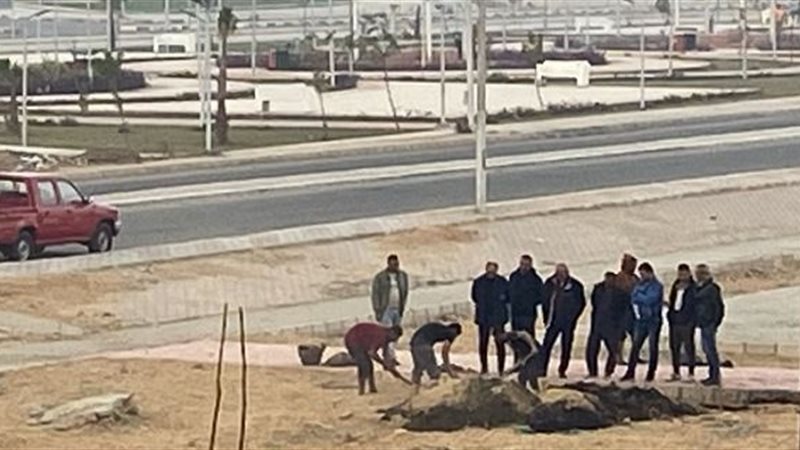 بوابة الجمهورية