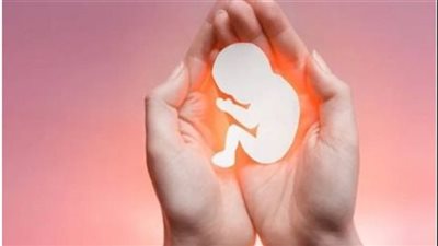 مشروعية الزواج بقصد الإنجاب في المختبر دون حقوق الزوج