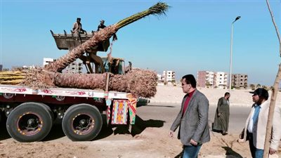 رئيس جهاز مدينة طيبة الجديدة يكشف عن أحدث مشروعات الزراعة.. صور