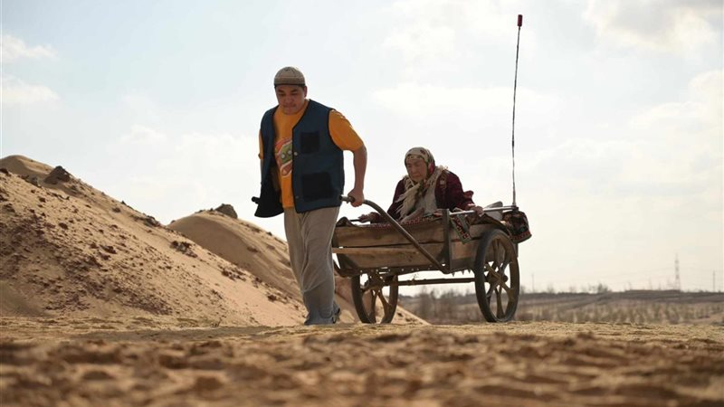بوابة الجمهورية