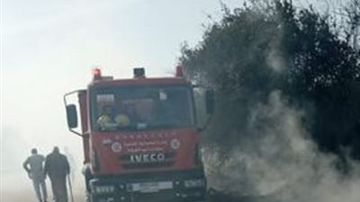 السيطرة على حريق شجر ليمون بالشهيد خيرى في الإسماعيلية ..صور