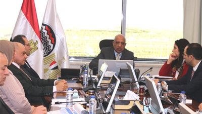 محمود عصمت: تشغيل الحرير الصناعي وتوفير الأقطان اللازمة للغزل